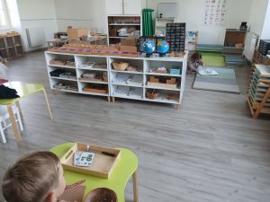Espace créatif et zoologie